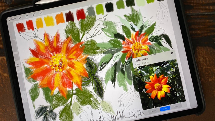 {VIDEO} 20+ ideas Procreate mixed media