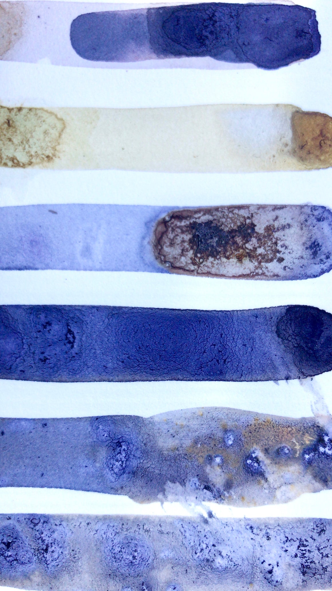 #tracibautistaCOLOR ~ MISC MIX WILD Botanical ink 3 set {15ml}