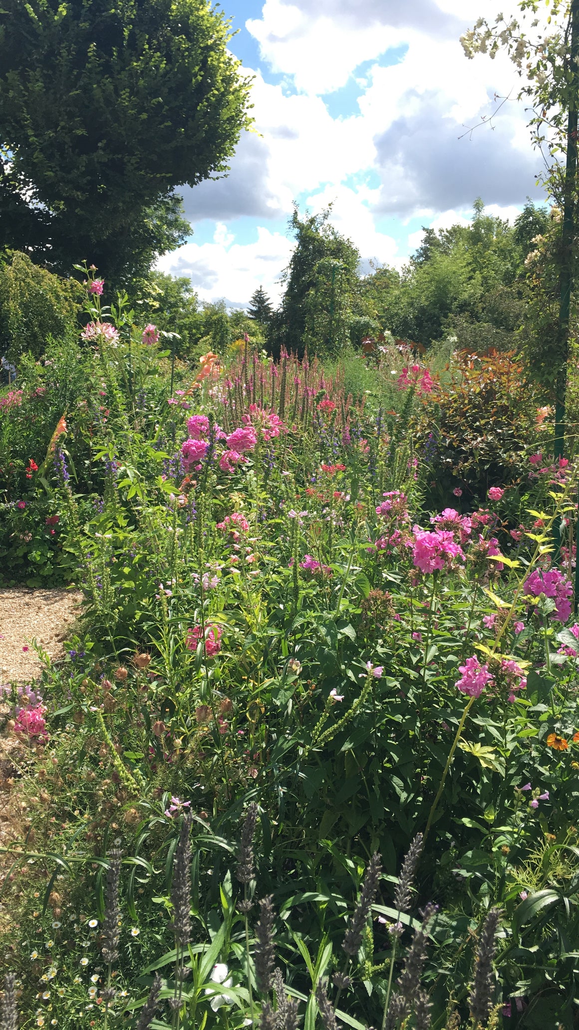 #tracibautistaCOLOR ~ WILD BLOOMS pigment stones {5-set}