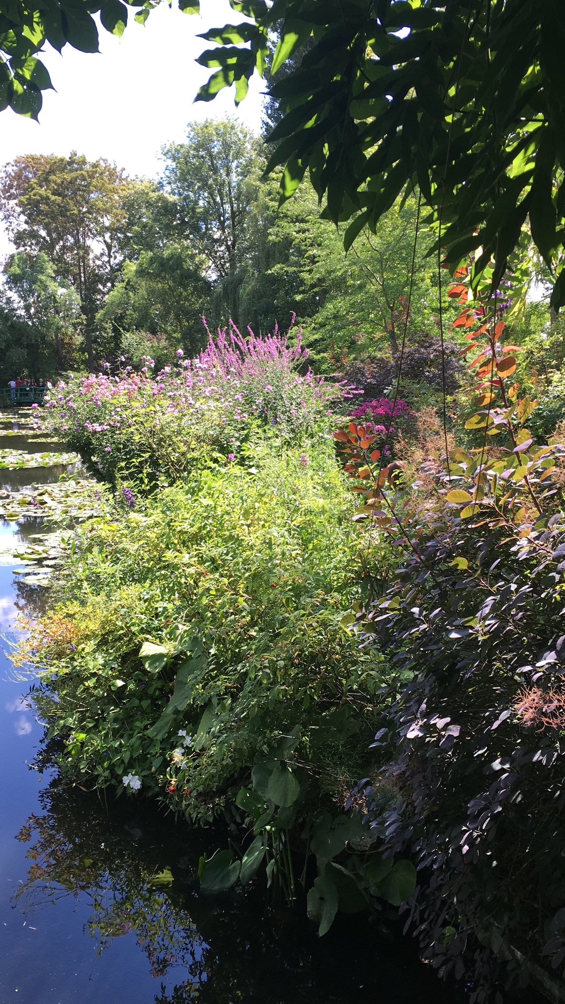 #tracibautistaCOLOR ~ WILD BLOOMS pigment stones {5-set}