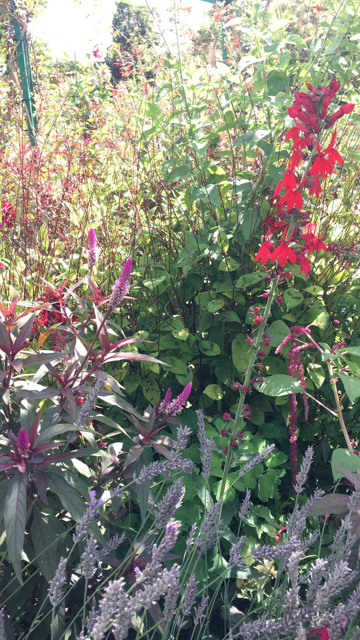 #tracibautistaCOLOR ~ WILD BLOOMS pigment stones {5-set}