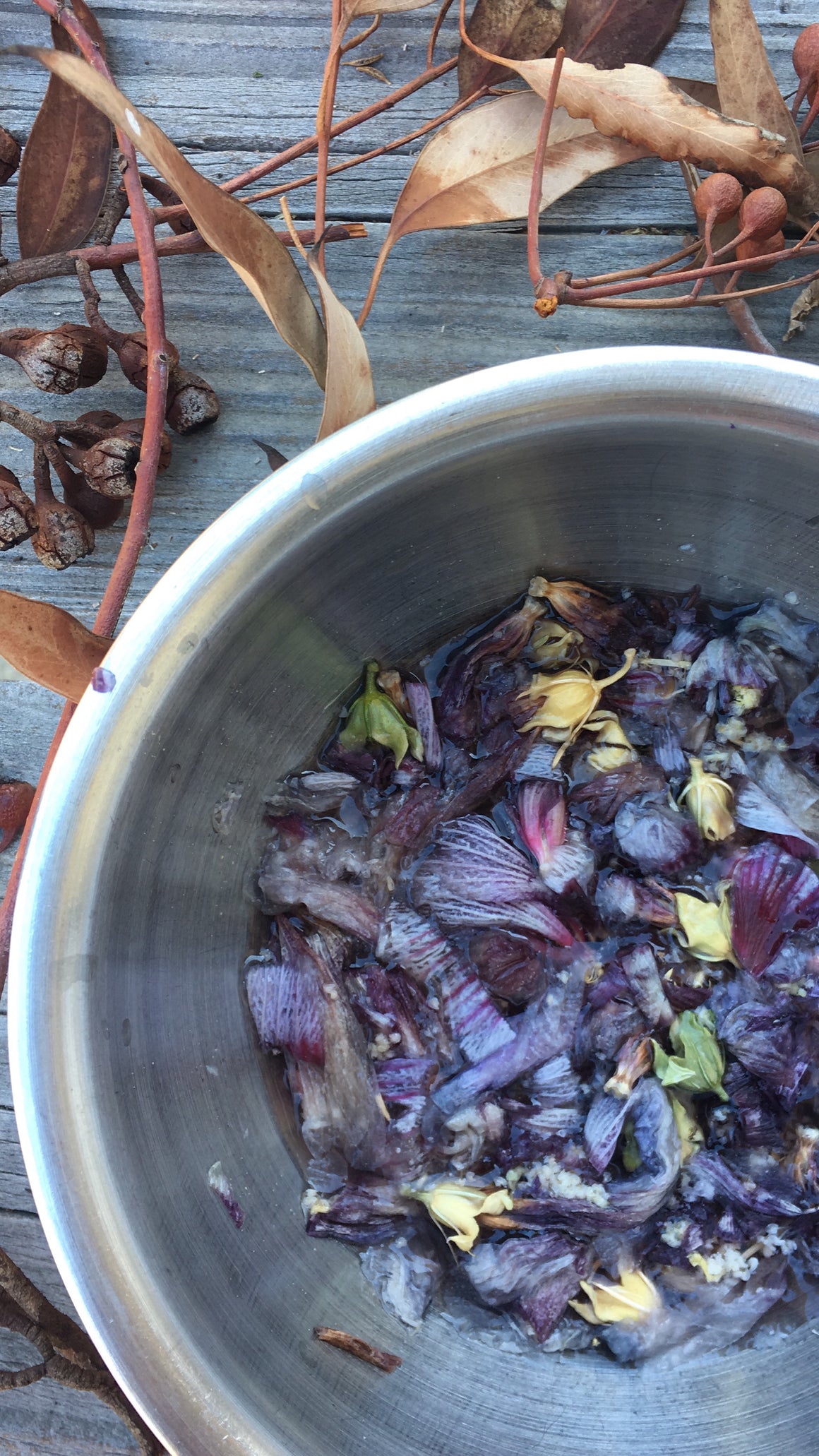 #tracibautistaCOLOR ~ MISC MIX WILD Botanical ink 3 set {15ml}