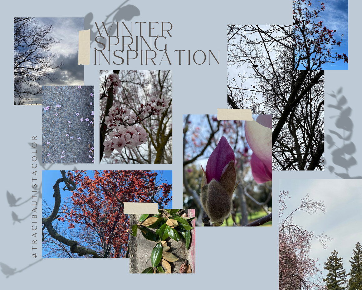 INSPIRATION SKETCHBOOK online program