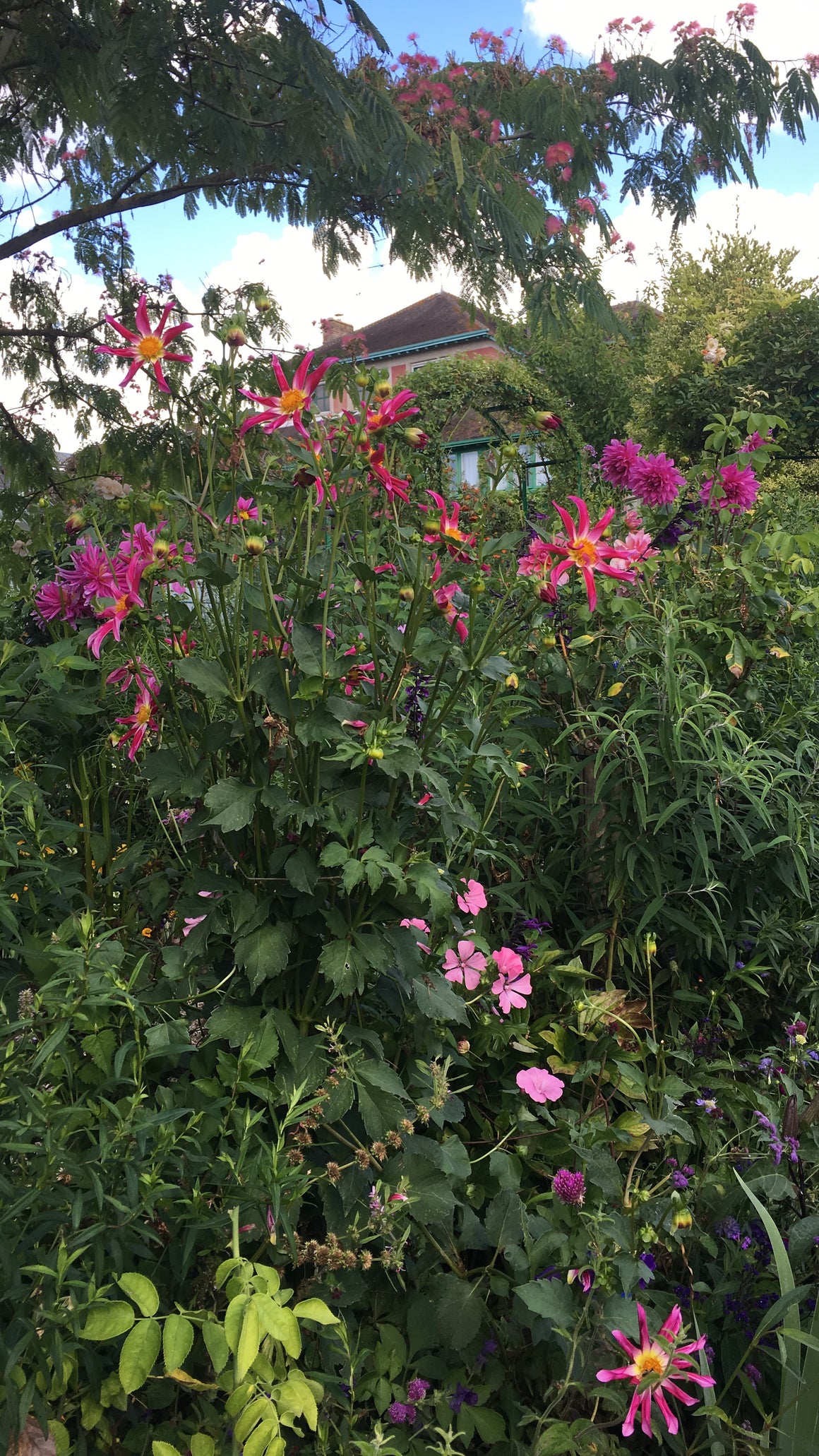 #tracibautistaCOLOR ~ WILD BLOOMS pigment stones {5-set}