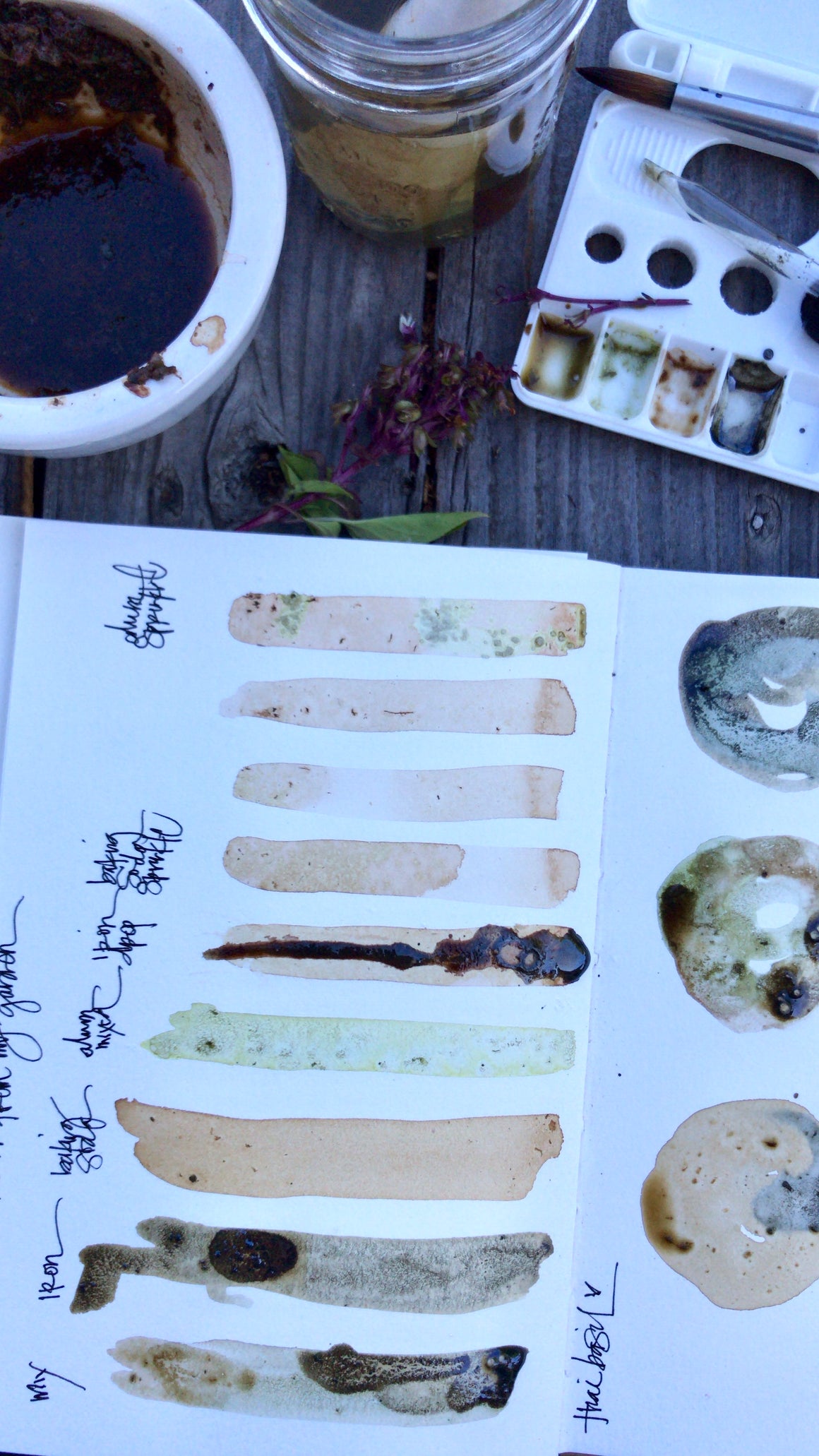 BOTANICAL wild inks {virtual workshop}