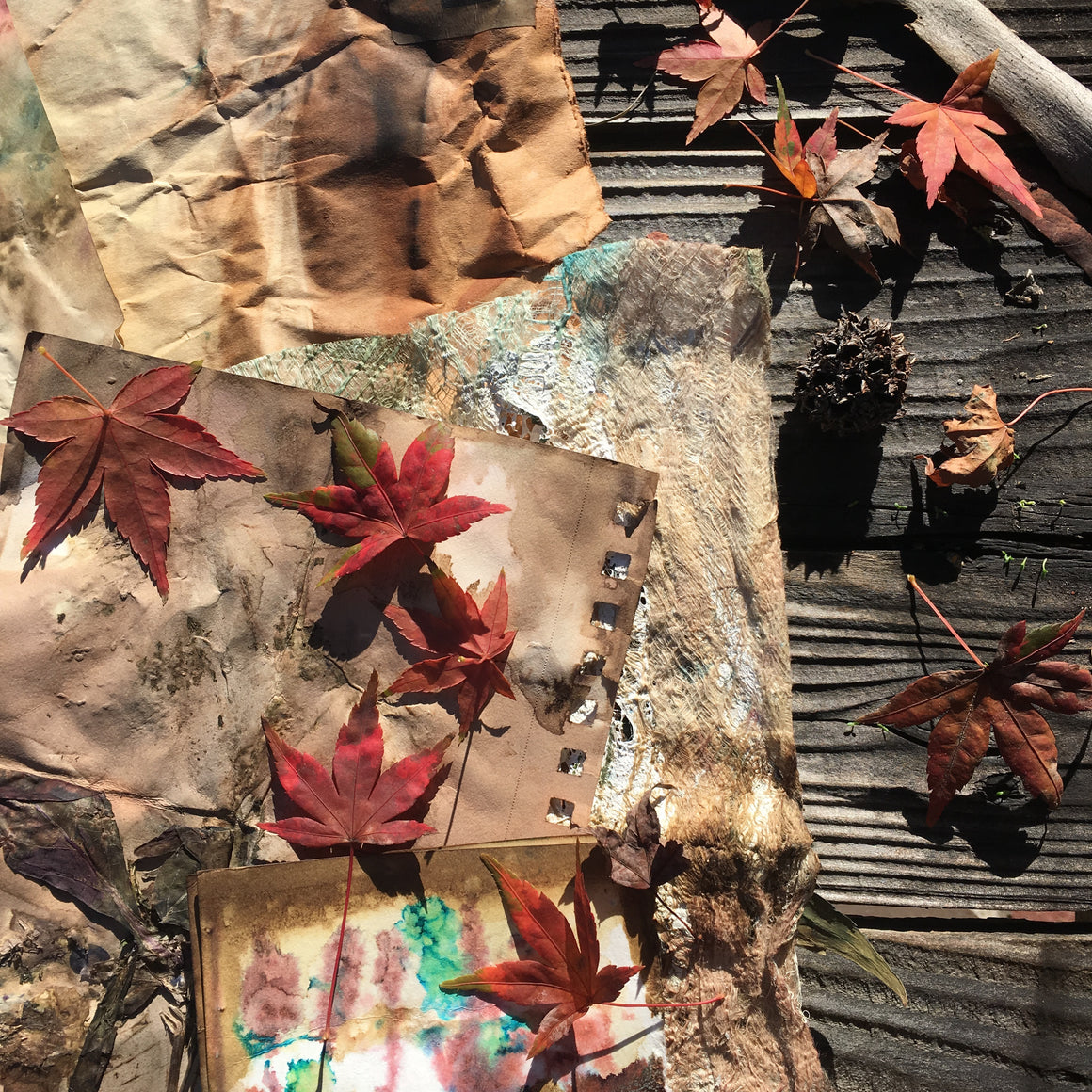 BOTANICAL wild inks {virtual workshop}