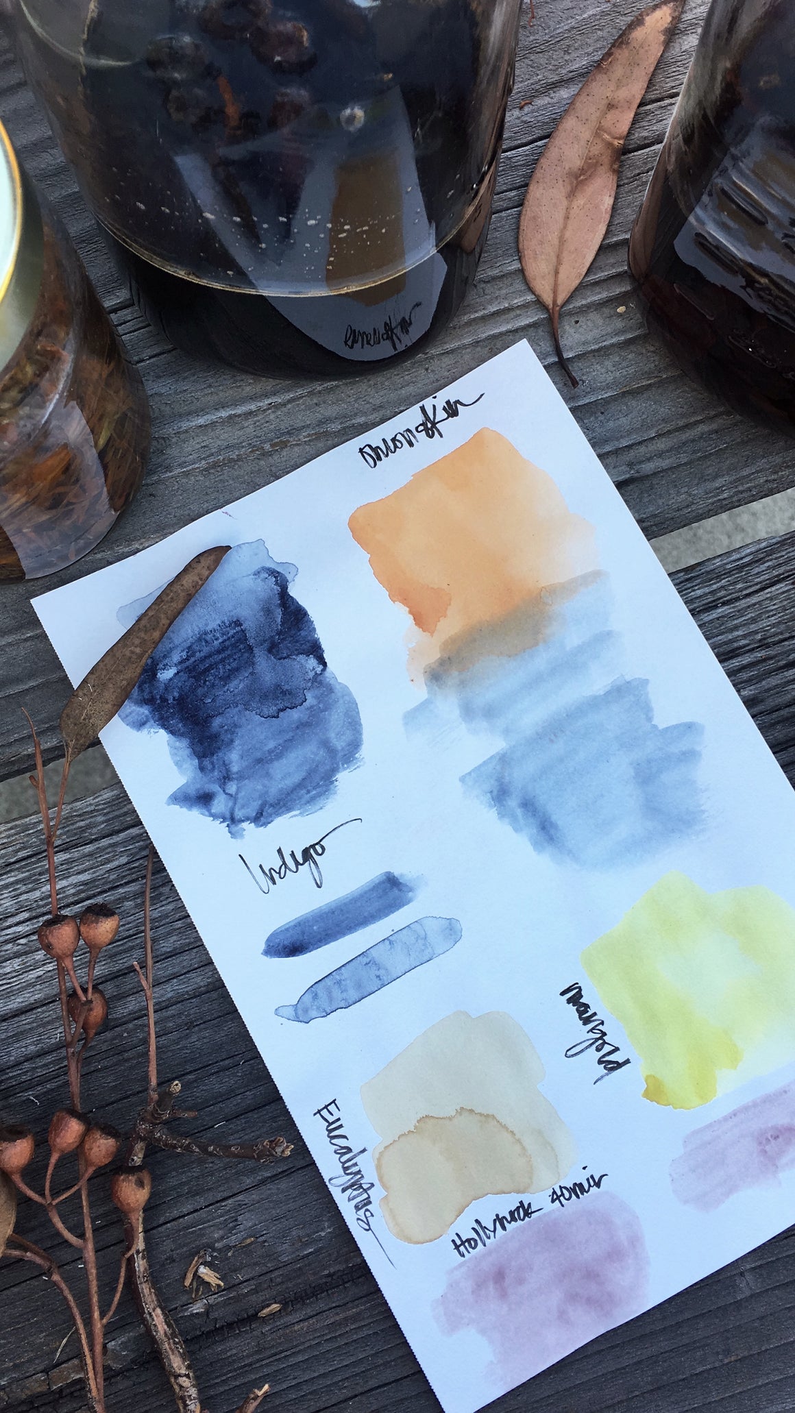 #tracibautistaCOLOR ~ MISC MIX WILD Botanical ink 3 set {15ml}