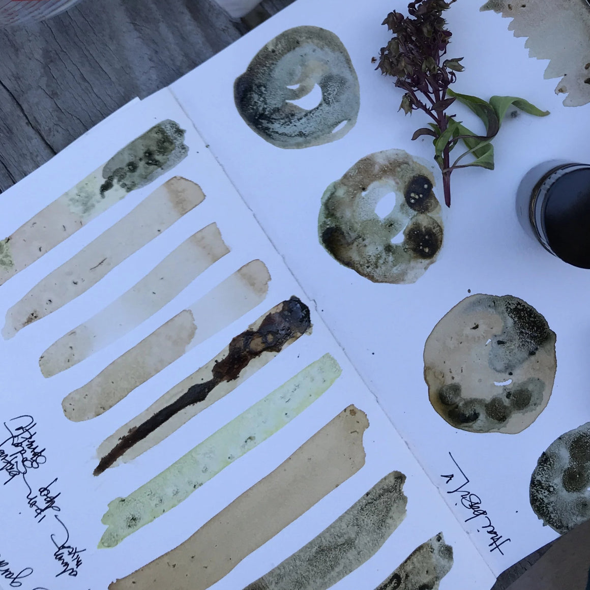 #tracibautistaCOLOR ~ MISC MIX WILD Botanical ink 3 set {15ml}