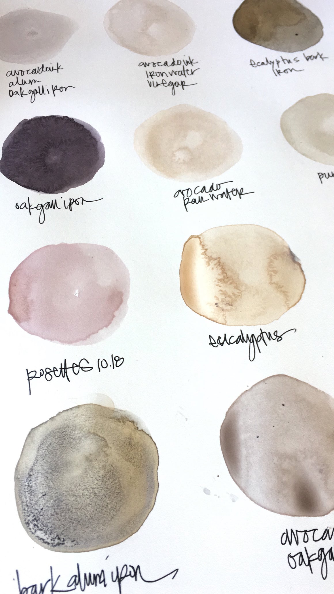 BOTANICAL wild inks {virtual workshop}