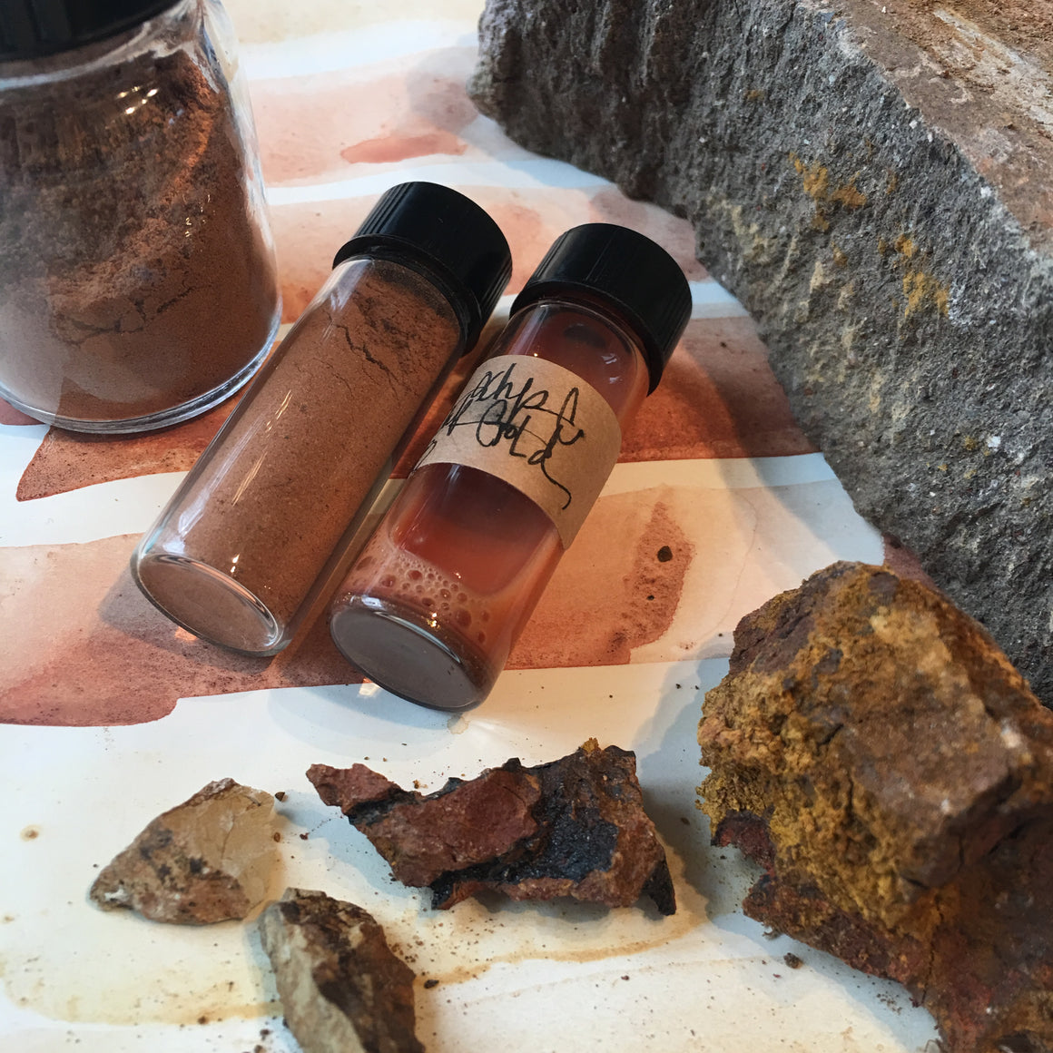 BOTANICAL wild inks {virtual workshop}